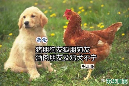 狐朋狗友是什么生肖?狐朋狗友打一正确动物 狐朋狗友是什么生肖?狐朋狗友打一正确动物