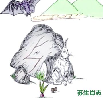 千军万马是什么生肖？千军万马最准确动物