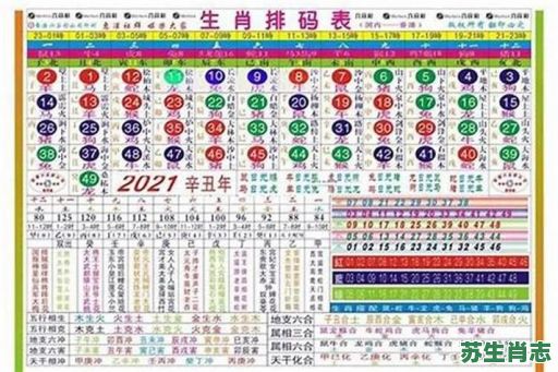 小姐是什么生肖？小姐准确打一肖