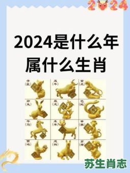 一心一意是什么生肖？一心一意正确答案一肖