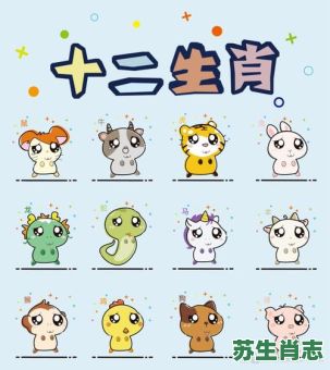 四大皆空是什么生肖？四大皆空最正确动物