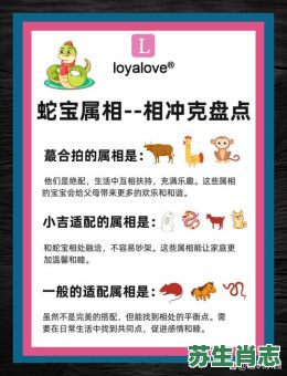 蛇后面是什么生肖？蛇宝宝好还是马宝宝好