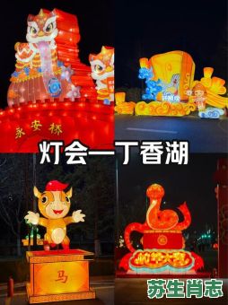 灯火通明是什么生肖？灯火通明打一准确生肖