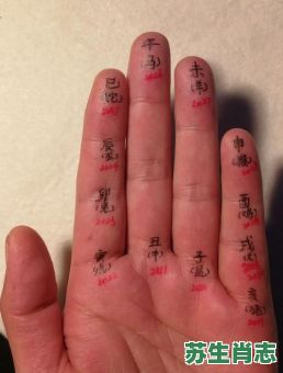 手指是什么生肖？手指打一个正确生肖