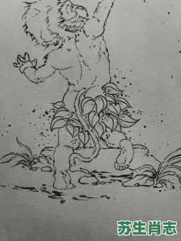 猴子偷桃是什么生肖？猴子偷桃打一准确动物