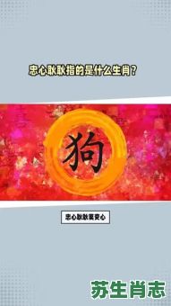 忠心耿耿是什么生肖?忠心耿耿打一准确生肖 忠心耿耿是什么生肖?忠心耿耿打一准确生肖