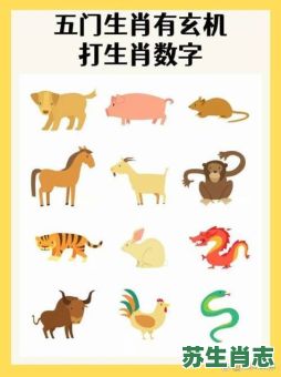 众所周知是什么生肖？众所周知打一精准动物