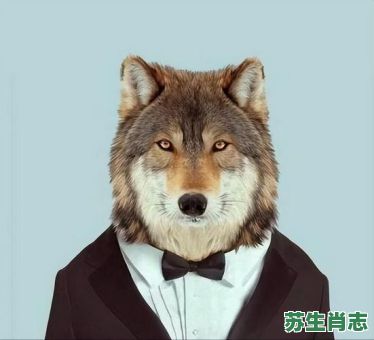 衣冠禽兽是什么生肖?衣冠禽兽打一最佳动物 衣冠禽兽是什么生肖?衣冠禽兽打一最佳动物