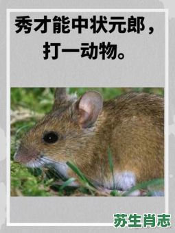 地上爬的动物是什么生肖?地上爬打一准确动物 地上爬的动物是什么生肖?地上爬打一准确动物