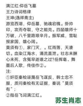 风波亭里满江红是什么生肖？风波亭里满江红正确答案