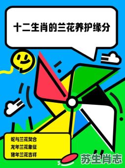 兰花是什么生肖?十二生肖花位对照表 兰花是什么生肖?十二生肖花位对照表