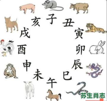 任劳任怨的动物是什么生肖？任怨任劳最准确一肖