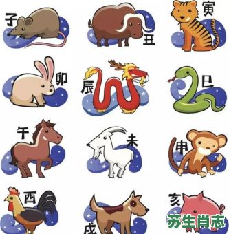 弱小的动物是什么生肖？弱小最正确生肖