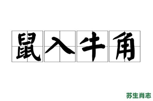 鼠入牛角是什么生肖？鼠入牛角最正确的生肖