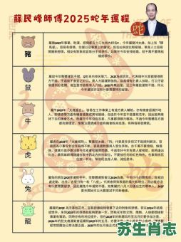 42属相是什么生肖？2025年42岁属啥