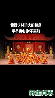 少林大师是什么生肖？少林大师打准确生肖