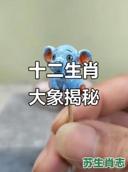 大象是什么生肖?大象打一个最佳生肖 大象是什么生肖?大象打一个最佳生肖