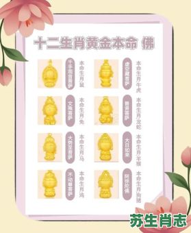 金是什么生肖？金打一个最佳生肖