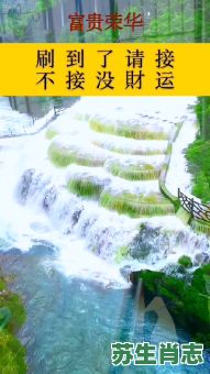 游山玩水是什么生肖?游山玩水最正确生肖 游山玩水是什么生肖?游山玩水最正确生肖