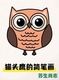 猫头鹰是什么生肖？猫头鹰打一正确生肖