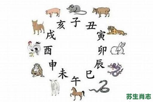奔是什么生肖？奔字打一个准确生肖