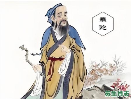 华佗是什么生肖？华佗打一个准确动物