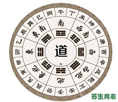 八卦是什么生肖？八卦打一个正确生肖