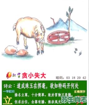 因小失大是什么生肖？因小失大打一准确动物