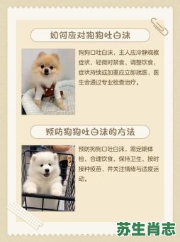 口吐白沫是什么生肖？口吐白沫最正确生肖