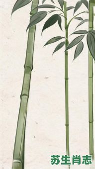 大林木是什么生肖？大林木打一准确动物