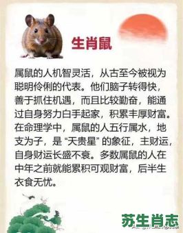 衣食无忧是什么生肖？衣食无忧打一精准生肖