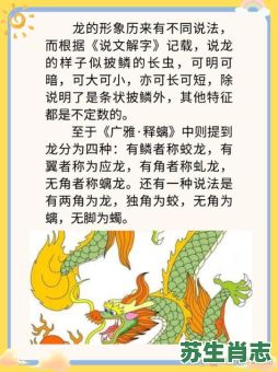 善中之王是什么生肖?善中之王打一准确生肖 善中之王是什么生肖?善中之王打一准确生肖