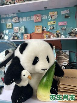 熊猫是什么生肖？熊猫打一个正确生肖