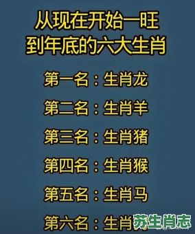 旭光是什么生肖？一道旭光打一最准生肖
