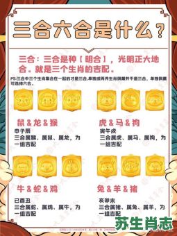 东方是什么生肖？东方最佳三肖