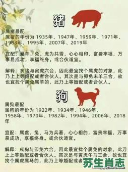 猪狗不如是什么生肖？狗猪不如打一准确生肖