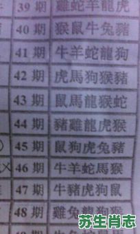 好是什么生肖？好字打一最正确一肖