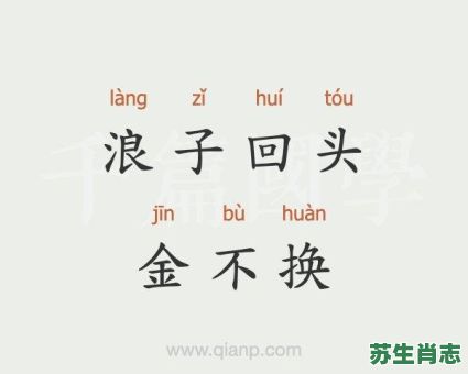 回头是岸金不换是什么生肖？回头是岸打准确一肖