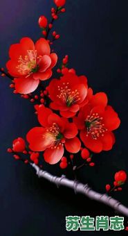 梅花香自苦寒来是什么生肖？梅花香自苦寒来最佳一肖