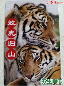 放虎归山是什么生肖?放虎归山最正确动物 放虎归山是什么生肖?放虎归山最正确动物