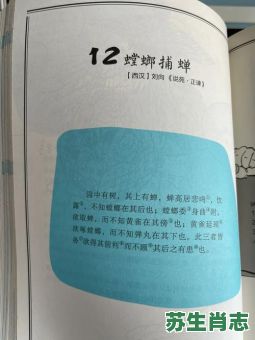 螳螂捕蝉黄雀在后是什么生肖？螳螂捕蝉打一生肖最佳答案是什么