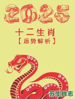 2025年是什么生肖？2025属兔最佳结婚对象