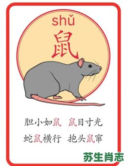 有始无终是什么生肖？有始无终打一准确动物