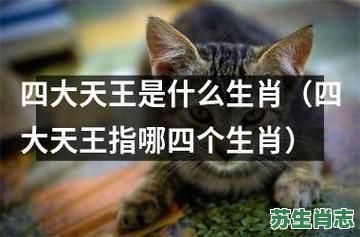 王是什么生肖?王打一准确的生肖 王是什么生肖?王打一准确的生肖