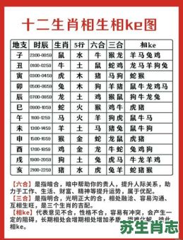 竹是什么生肖？竹打正确一肖