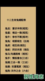 蛇前兔后是什么生肖?蛇前兔后打一正确生肖 蛇前兔后是什么生肖?蛇前兔后打一正确生肖