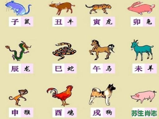 大地是什么生肖？大地打一个正确生肖