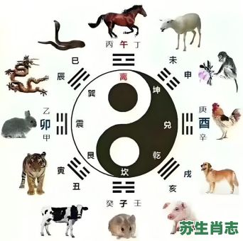 肝胆相照是什么生肖？肝胆相照打一正确动物