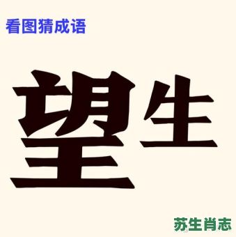 望是什么生肖？望字打一最准确生肖