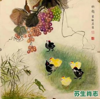 信口雌黄是什么生肖？信口雌黄打一准确动物